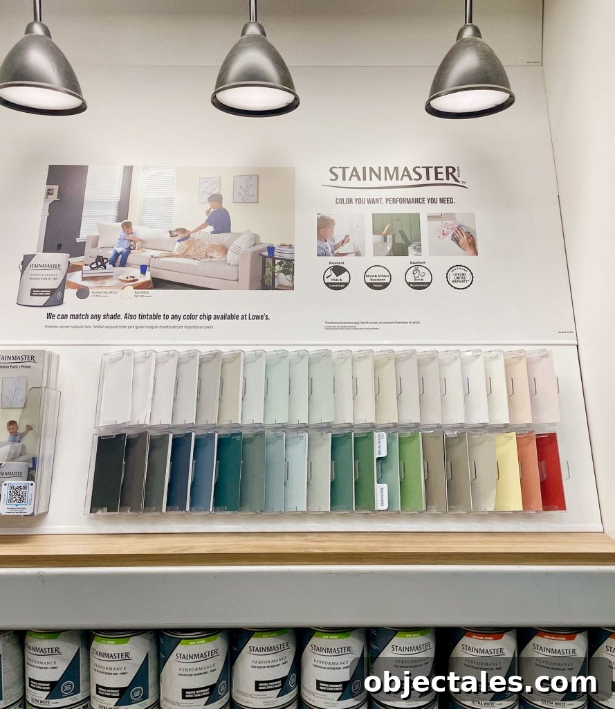 Stainmaster Paint Display