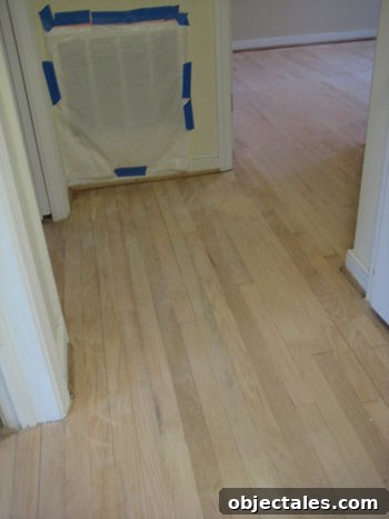 diy-hardwood-floor-refinishing-moch-stain1