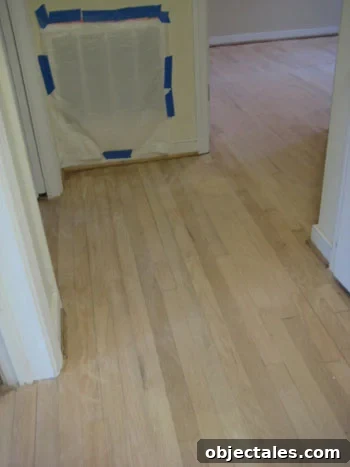 diy-hardwood-floor-refinishing-moch-stain1 diy-hardwood-floor-refinishing-moch-stain1