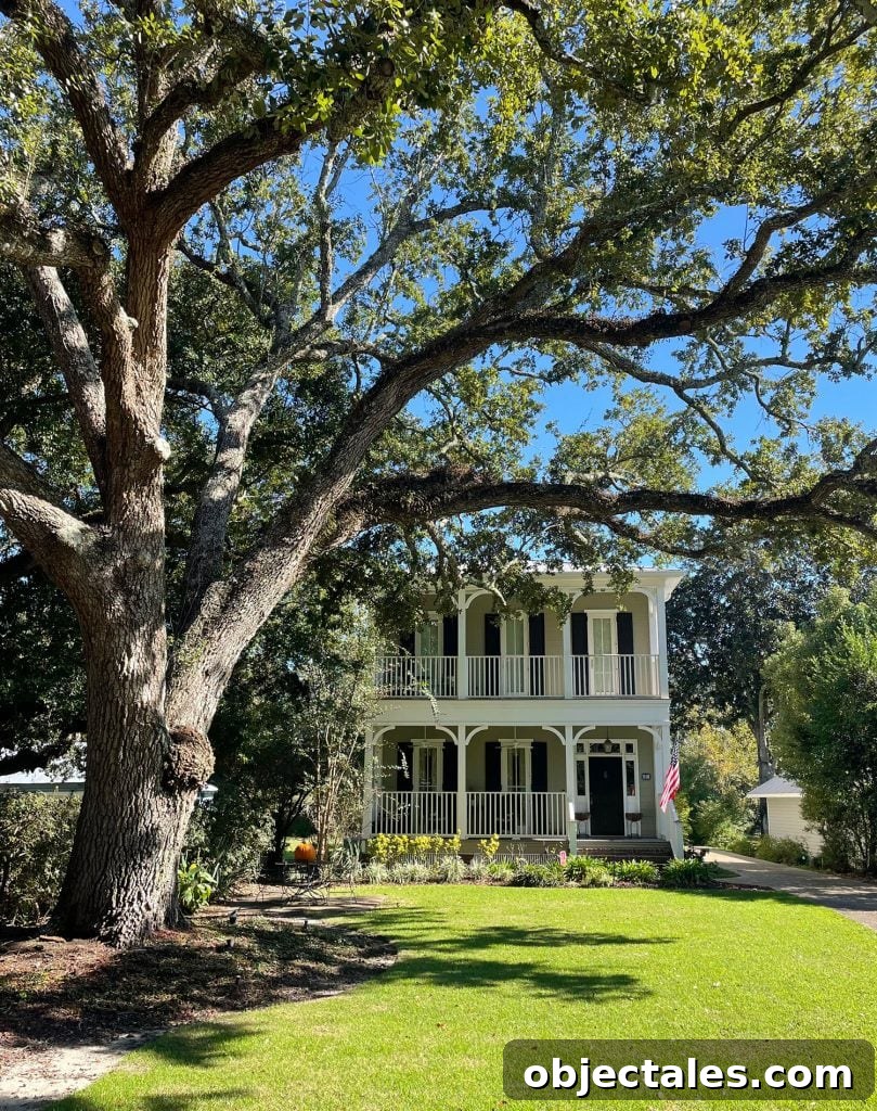 Weekend Escape in Ocean Springs: Beaches, Art and Dining 17 Queen Anne Style Home With Large Tree In Ocean Springs Mississippi