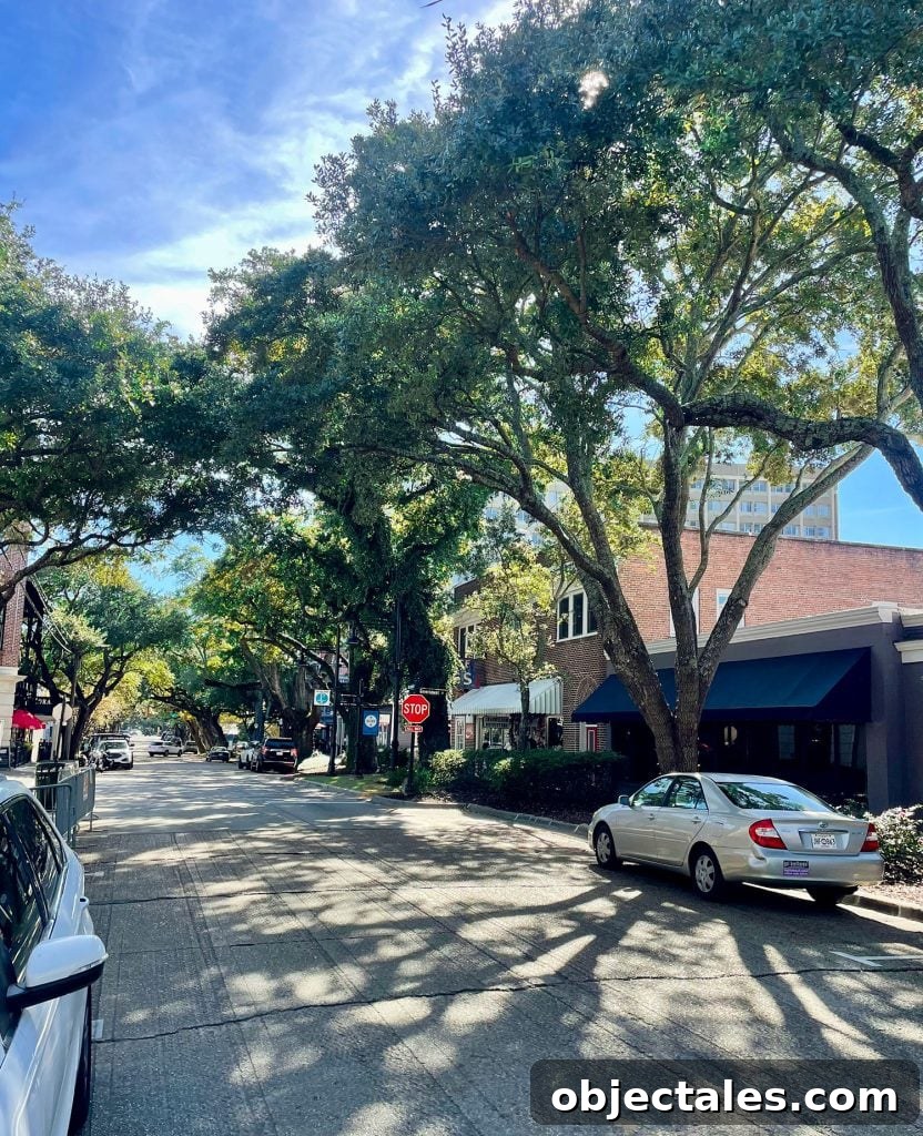 Weekend Escape in Ocean Springs: Beaches, Art and Dining 4 Quanity Shopping Street In Ocean Springs Mississippi