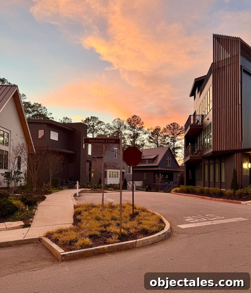 Interesting Architecture of Homes In Serenbe Georgia At Sunset