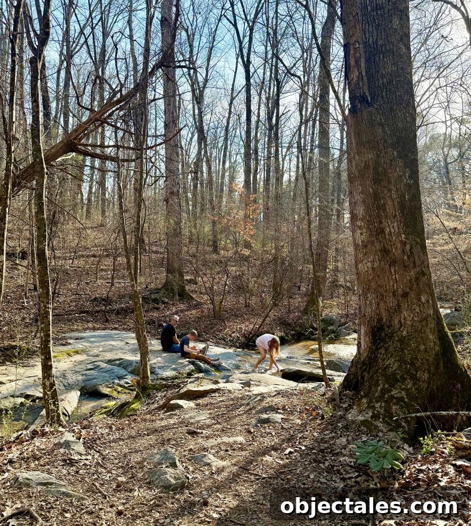 Family Playing In Creek In Serenbe Georgia