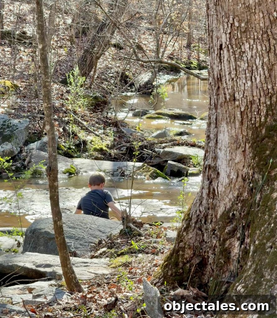 Boy Playing In Creek in Serenbe Georgia