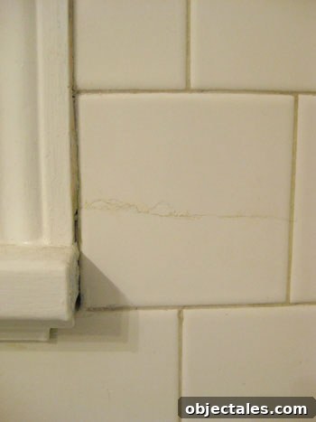 cracked-bathroom-tile cracked-bathroom-tile