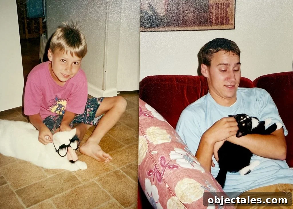 How I Overcame Cat Allergies: What Worked for Me 4 Old Photos of John With Family Cats