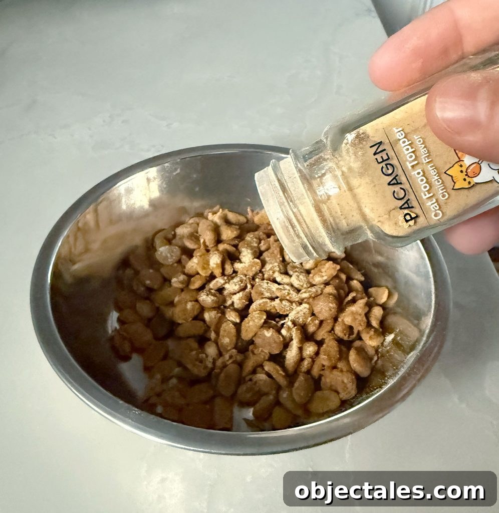 Shaking Pacagen Cat Food Topper on Dry Cat Food