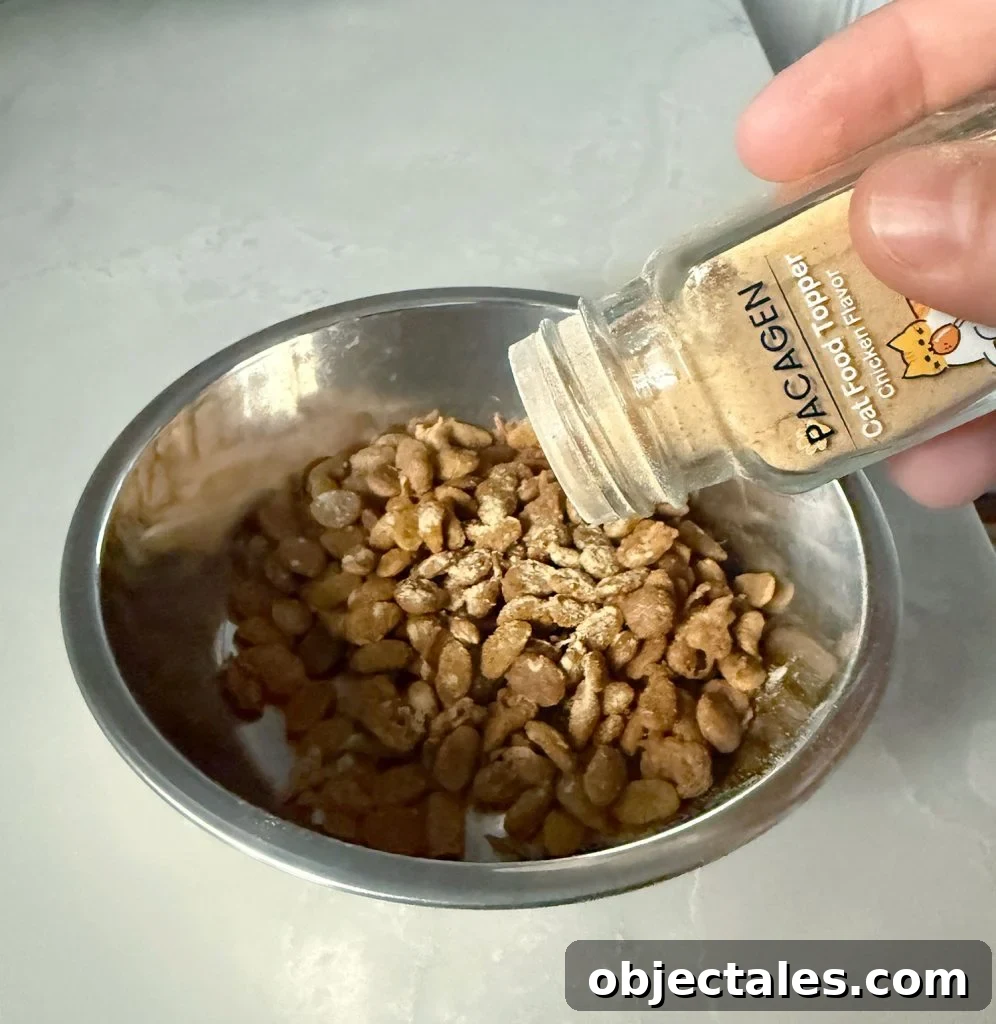 How I Overcame Cat Allergies: What Worked for Me 5 Shaking Pacagen Cat Food Topper on Dry Cat Food