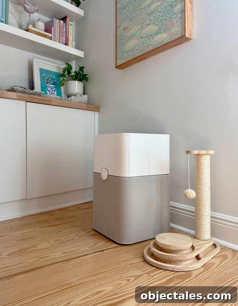 BlueAir Air Purifier On Floor Next to Cat Scratching Post