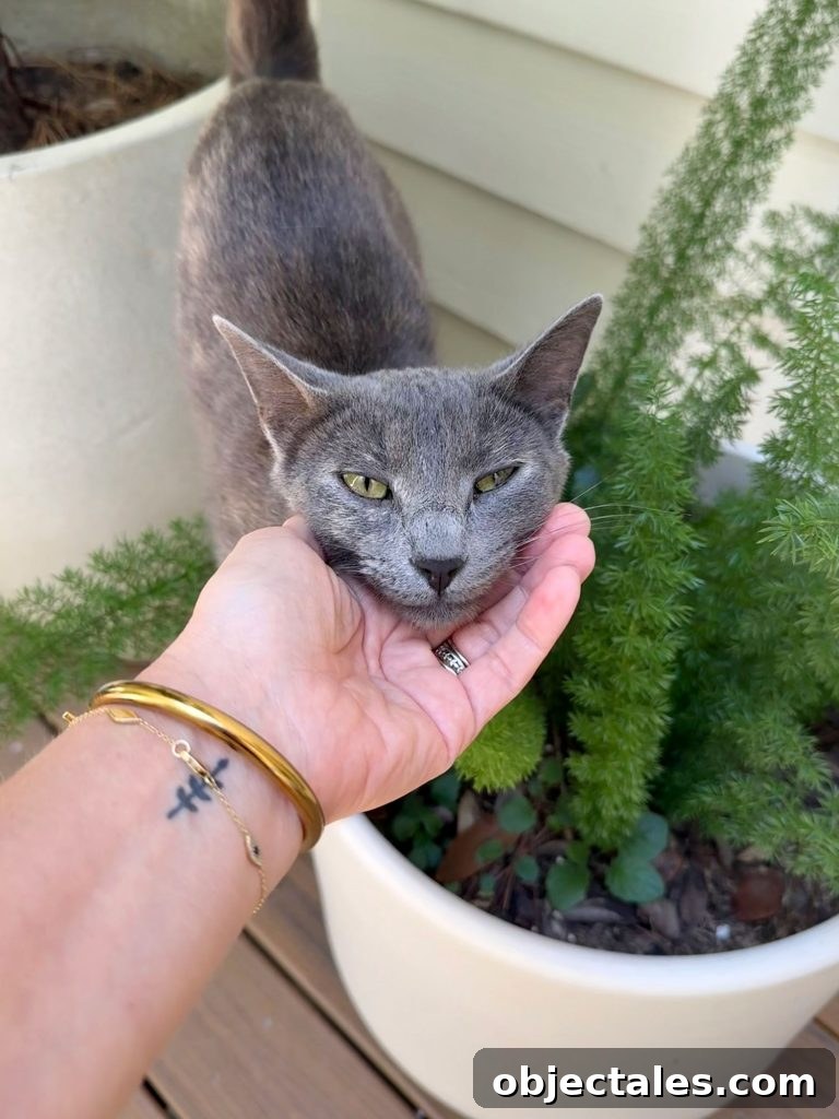 Sherry Putting Jenny Cat Outside Under Her Chin