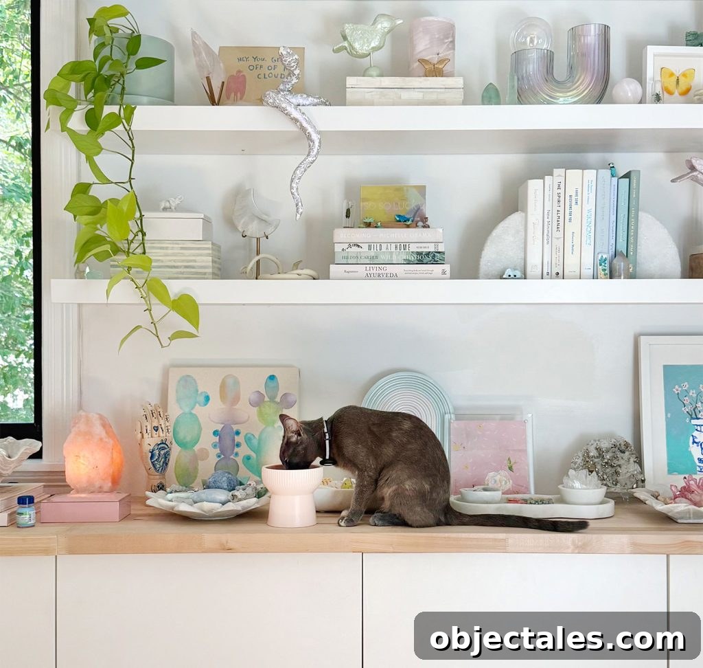 200 Female Cat Names and Naming Tips 4 Gray Girl Cat Eating Food Near Decorative Floating Shelves