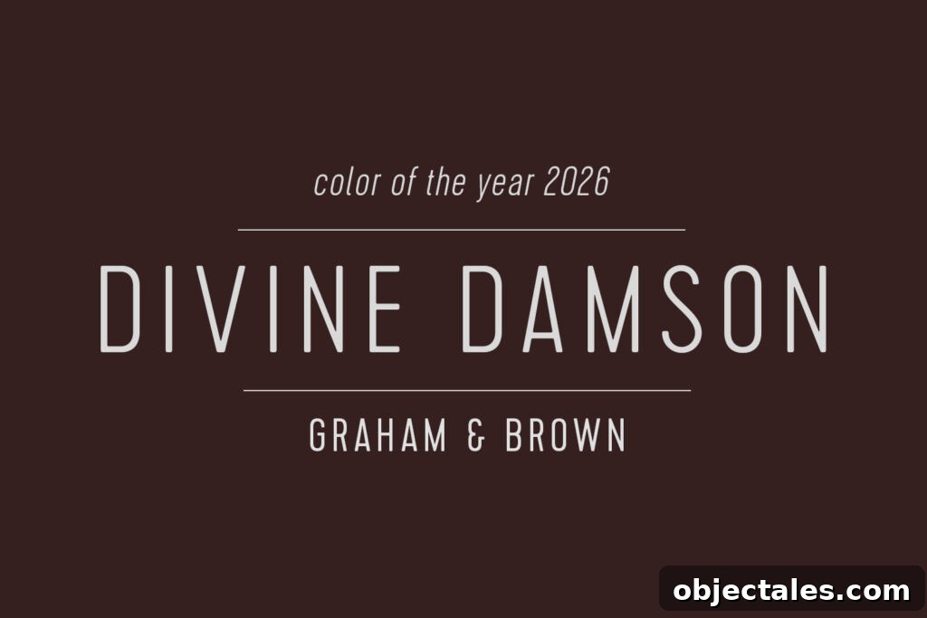 Graham and Brown Color of the Year 2026 Divine Damson Swatch