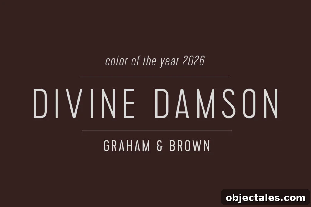 Graham and Brown Color of the Year 2026 Divine Damson Swatch
