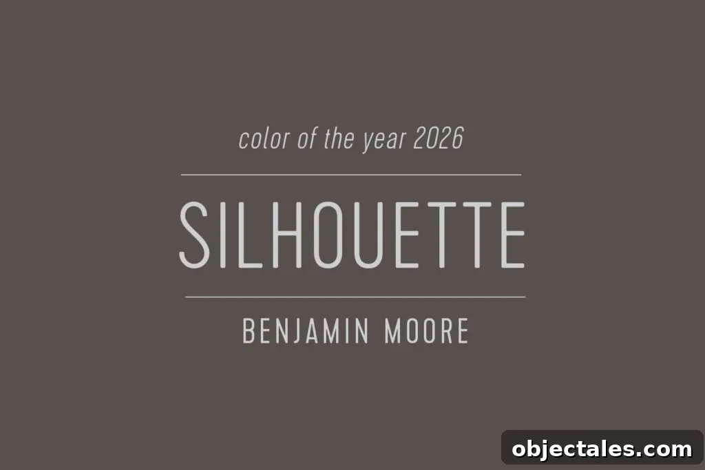 Benjamin Moore Silhouette Color of the Year 2026 Swatch