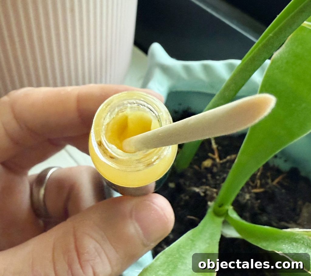 Keiki Paste: What It Is and How to Use It on Orchids 4 View inside small glass container of Crazy Keiki Cloning Paste