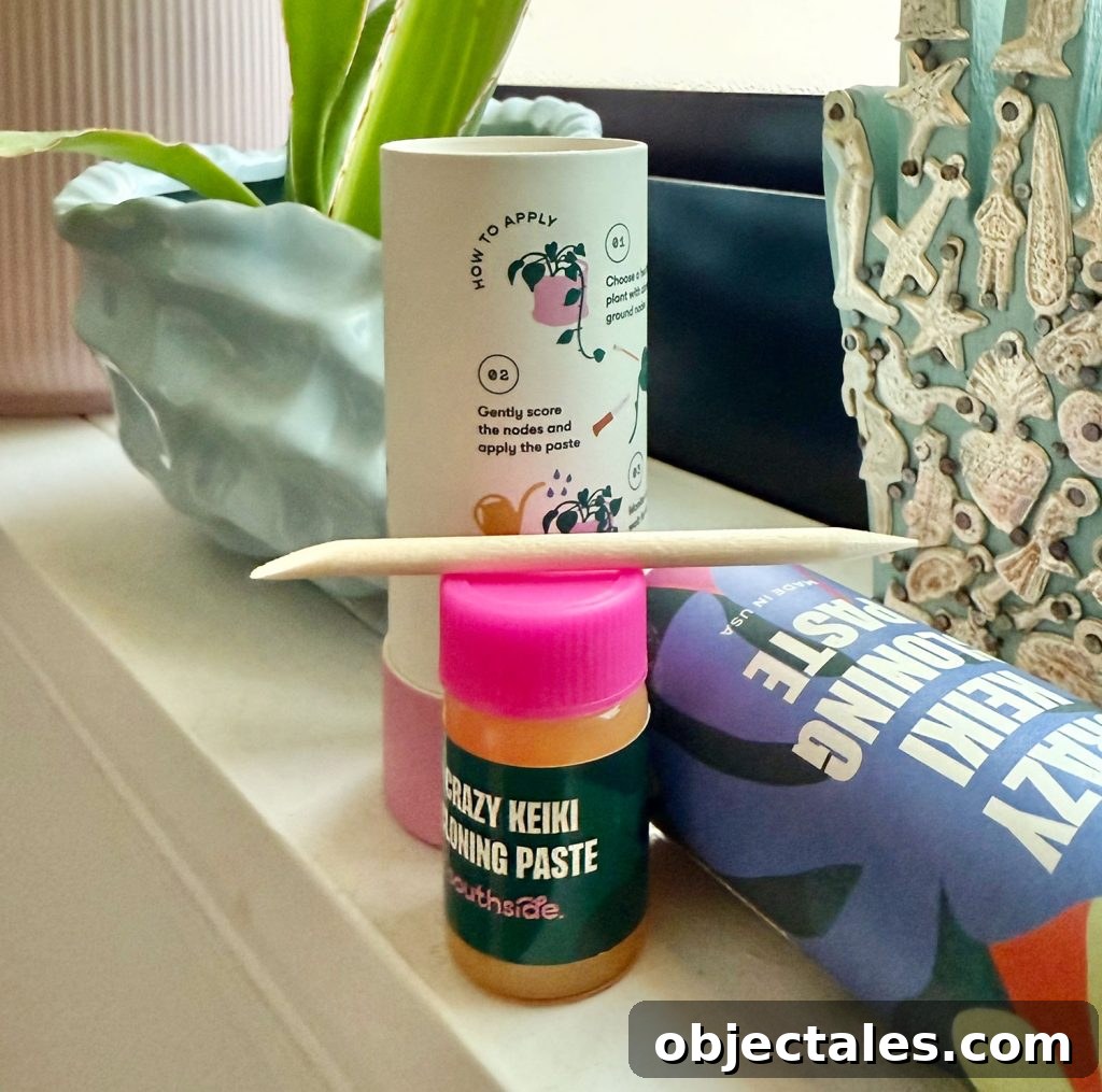 Keiki Paste: What It Is and How to Use It on Orchids 8 Contents of Keiki Paste Container With Paste Toothpick and Insturctions