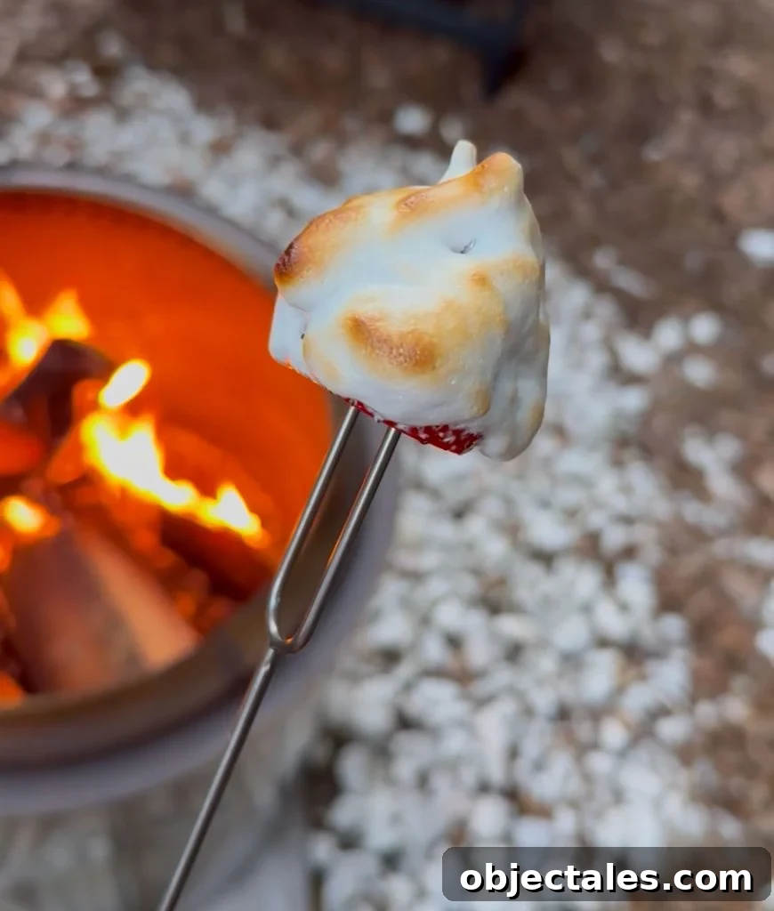 5 Creative S'mores Upgrades, Including Savory Versions 14 Toasted Marshmallow Fluff With Whole Strawberry Over Firepit