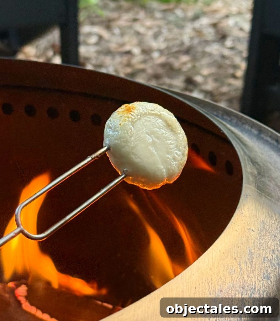 Roasting Babybell Cheese Over Firepit Flame for Savory Smores