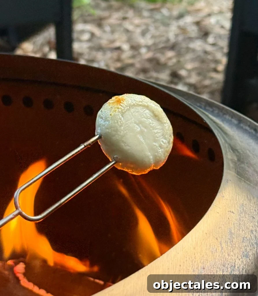 5 Creative S'mores Upgrades, Including Savory Versions 7 Roasting Babybell Cheese Over Firepit Flame for Savory Smores