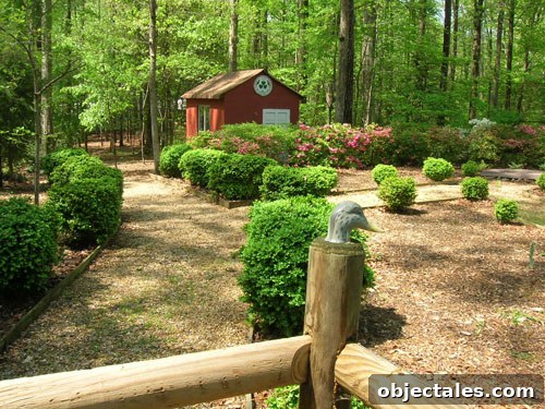 housebeforebackyardduck