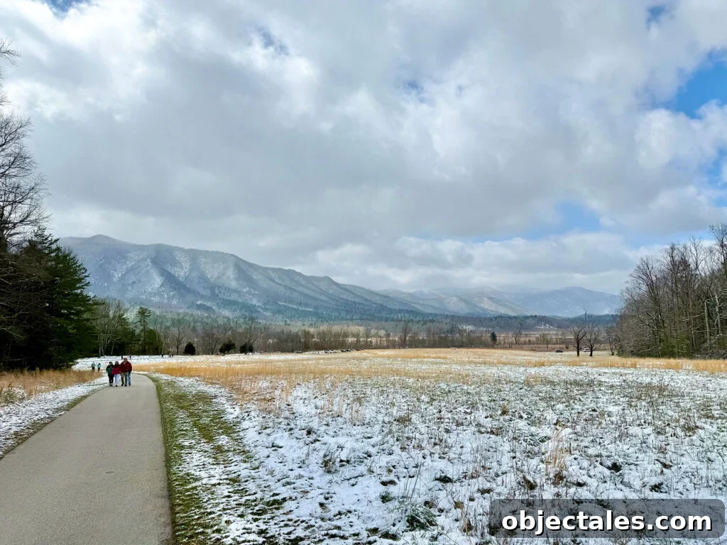 7 Can't-Miss Experiences in Pigeon Forge and Gatlinburg 9 View of Great Smoky Mountain National Park from Cades Cove Valley
