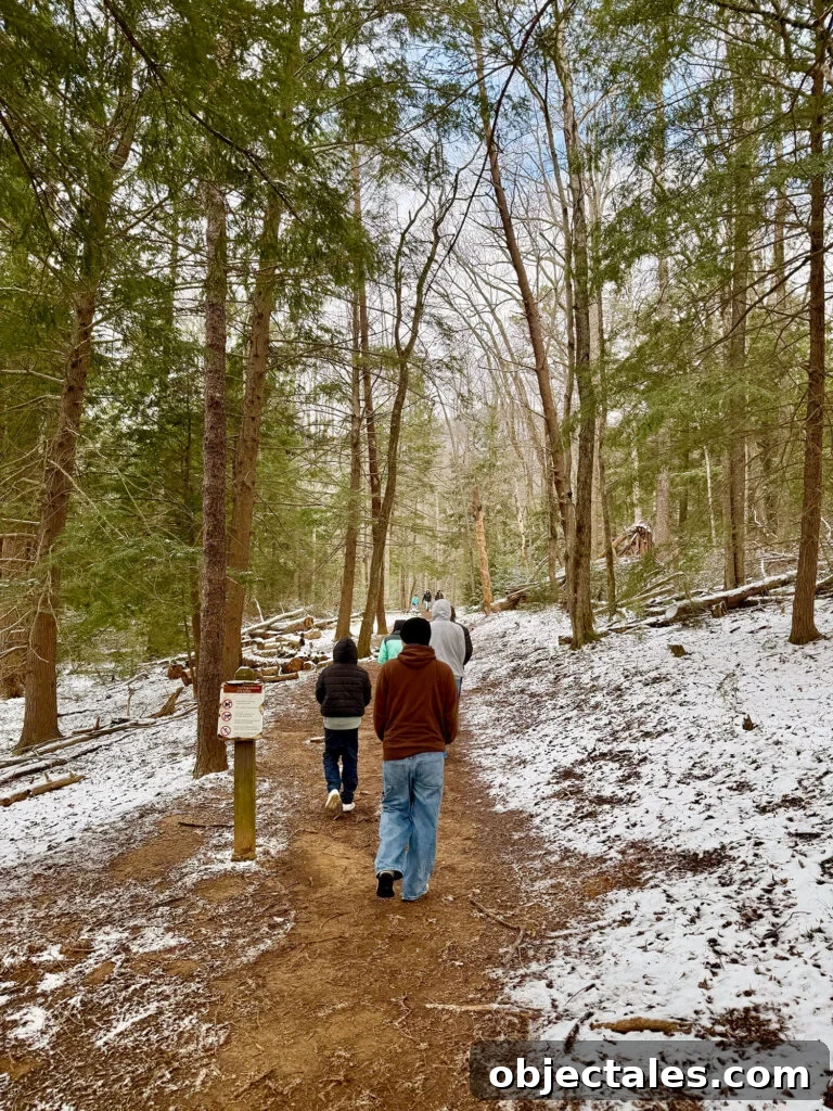 7 Unmissable Things to Do in Pigeon Forge and Gatlinburg 12 Snowy Hike In Great Smoky Mountain National Park Cades Cove
