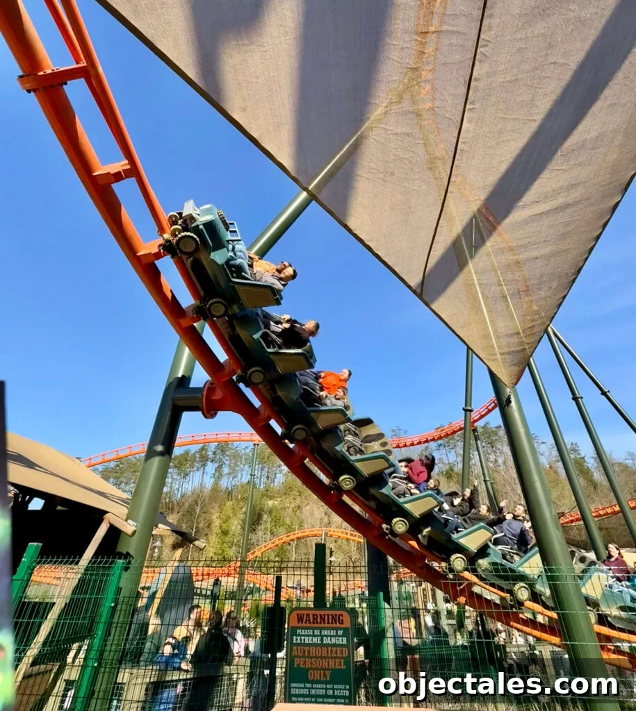 7 Can't-Miss Experiences in Pigeon Forge and Gatlinburg 6 Big Bear Mountain Rollercoaster at Dollywood Theme Park Pigeon Forge TN