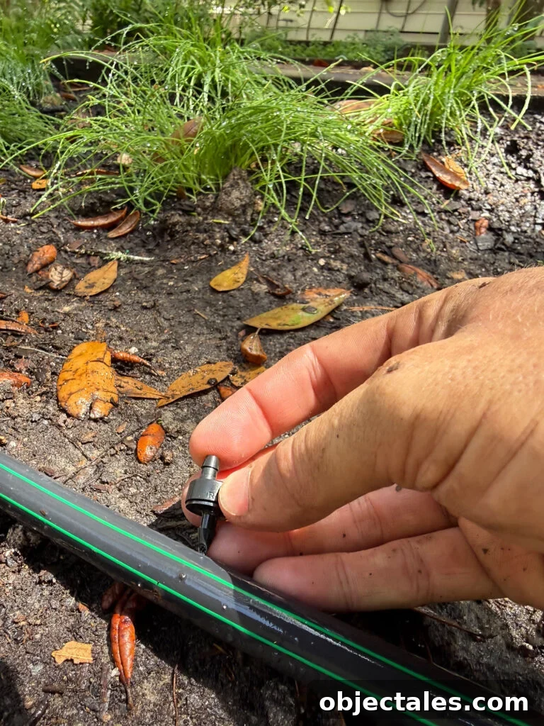 Drip Irrigation Installation: Step-by-Step for Your Garden 16 Poking Dripper Emitter Into Drip Irrigation System Tube