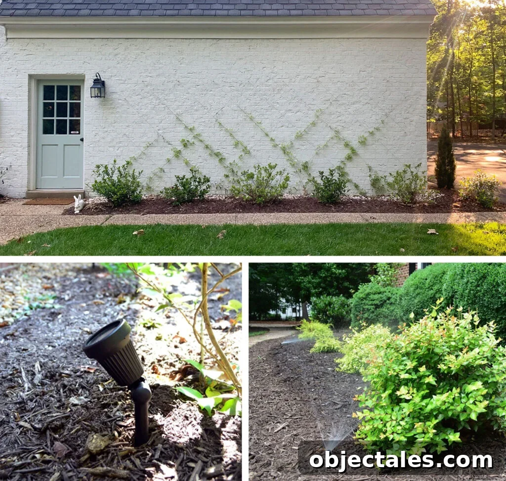 Drip Irrigation Installation: Step-by-Step for Your Garden 18 Collage of Outdoor Projects Vine Trellis Landscape Lighting Irirgation