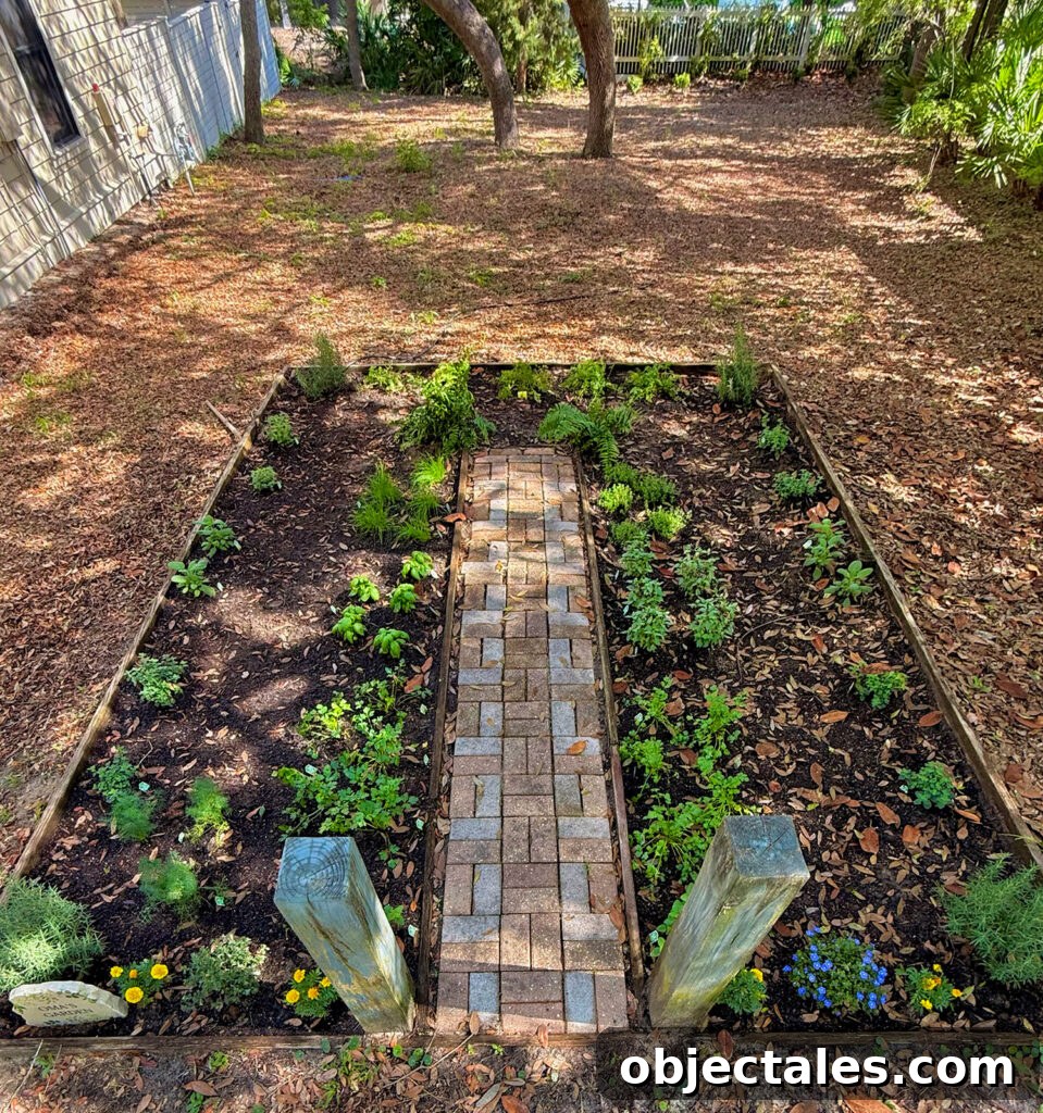 Drip Irrigation Installation: Step-by-Step for Your Garden 10 Garden Before Drip Irrigation Is Installed