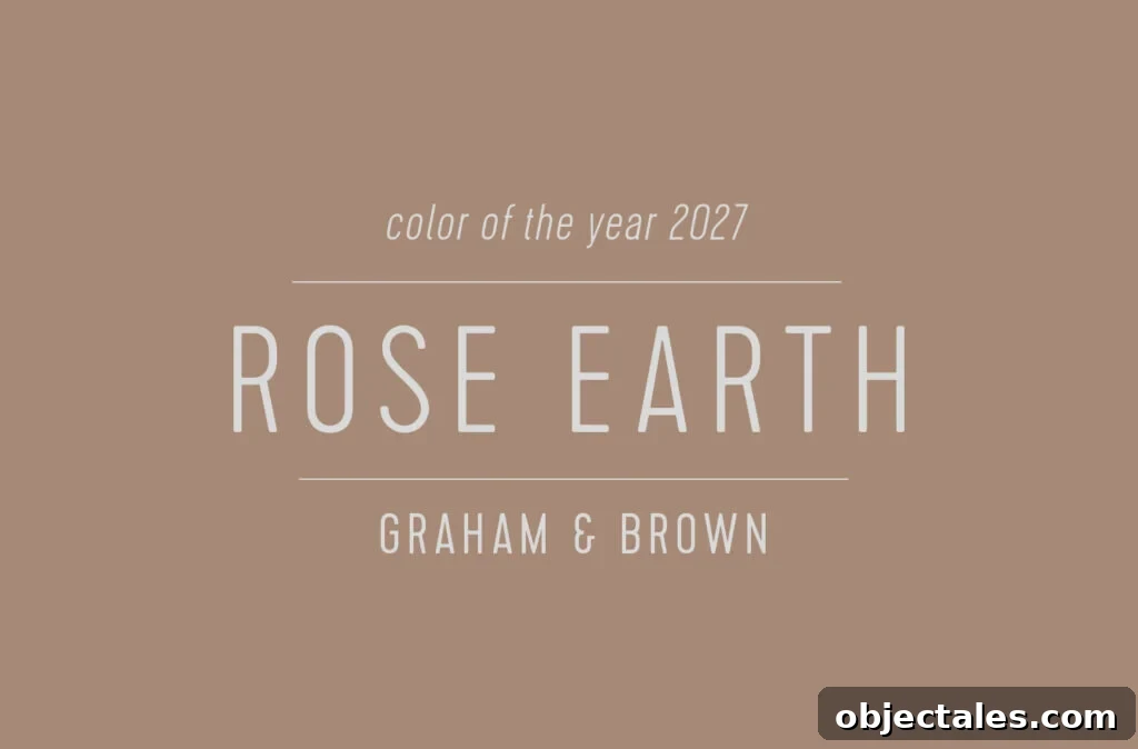 Swatch of Graham & Brown Color of the Year 2027 Rose Earth