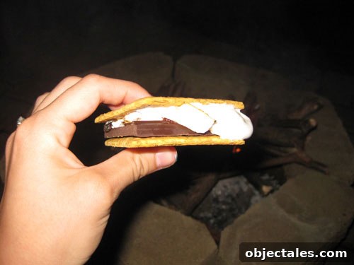 DIY Backyard Fire Pit: Step-by-Step Building Guide 12 delicious-smore