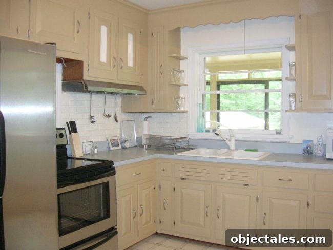 Updated kitchen after cosmetic changes with modern look