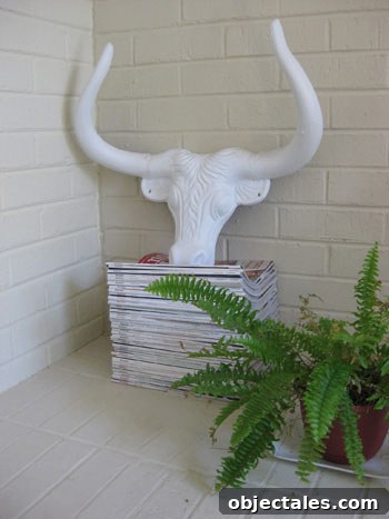 every-domino-magazine-iron-bull-open-storage-stack
