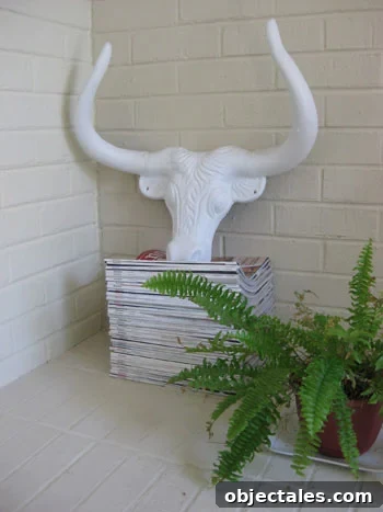 every-domino-magazine-iron-bull-open-storage-stack