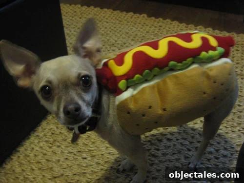 Friday Costume Send-Off: Creative Costume Ideas and Tips 2 burger-hot-dog1