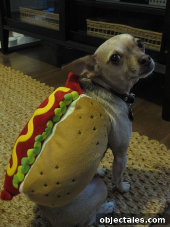 Friday Costume Send-Off: Creative Costume Ideas and Tips 3 burger-hot-dog2