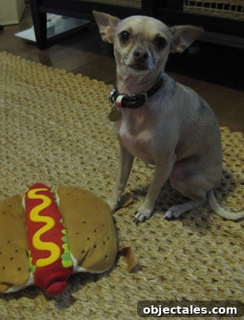 Friday Costume Send-Off: Creative Costume Ideas and Tips 4 burger-hot-dog3