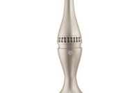 Why We Bought This Upright Vacuum Cleaner