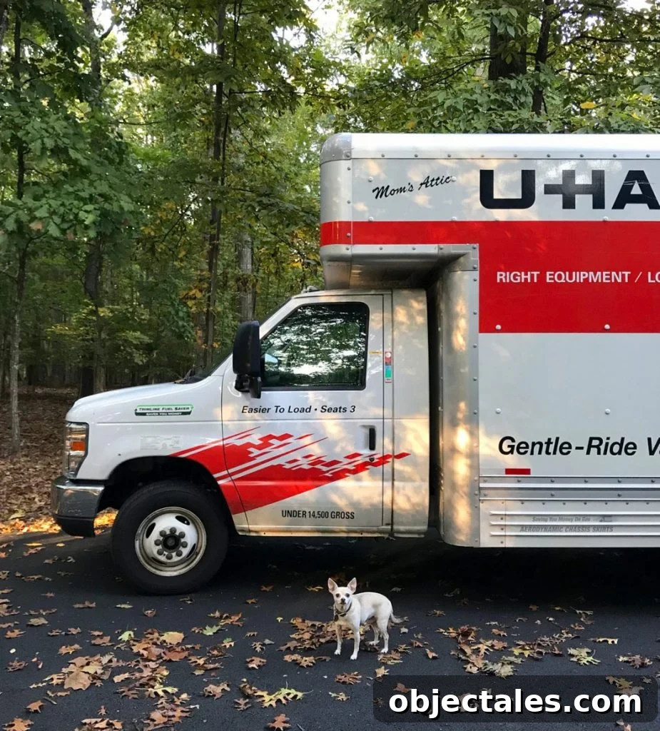 5 Ways to Move Large Items That Don't Fit in Your Car 5 Uhaul moving truck with chihuahua out front