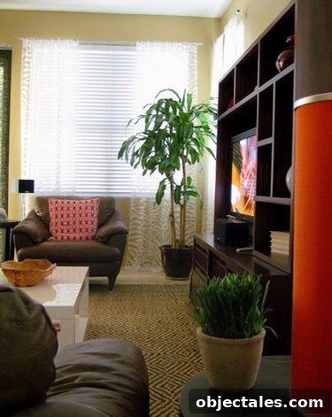 Living room angle showing curtains and rug