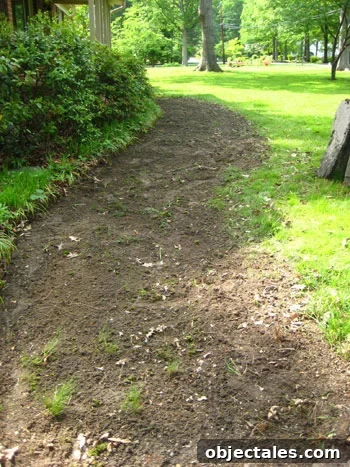 smallwalkway2 cleared path