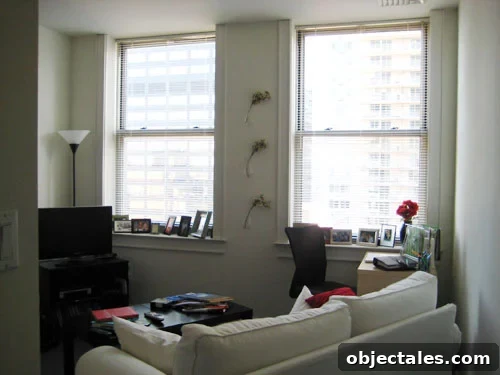 before-living-room-2 img 2937 1