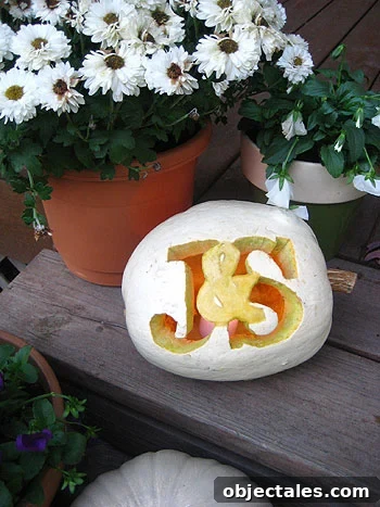 DIY Puffy Paint Pumpkins: Step-by-Step Fall Craft 3 img 30151 3