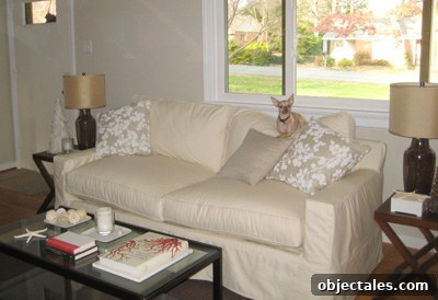 Our New Living Room Sofa: Style, Comfort & Key Features 2 img 306 1