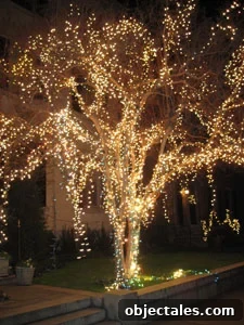 Richmond: Classy Neighborhoods vs Tacky Spots — Where to Visit 2 img 311 1