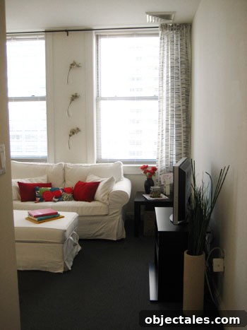 afterlivingroom11 img 3443 11