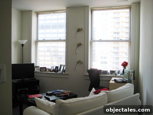 before-living-room-21 img 3443 8