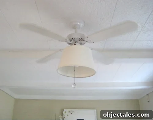 fan-shade-lamp-shade-fan-update-current-fan fan-shade-lamp-shade-fan-update-current-fan