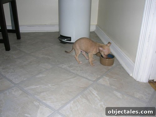 1748368130_e161a9021f img 3703 3